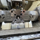 HAAS VF-3B 2005